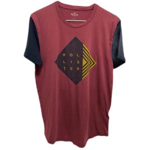 Hollister Graphic Loose Fit Short Sleeve Tee