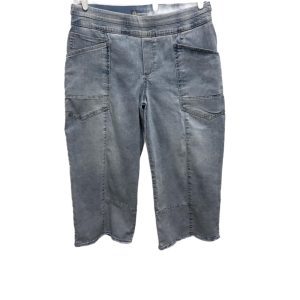 Democracy Wide Leg High-Waist Crop Faded Jeans